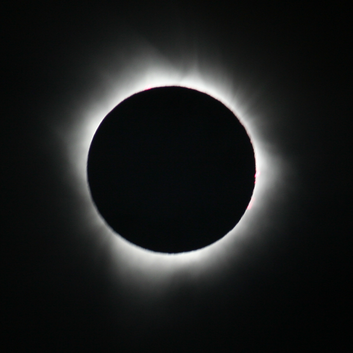 TYWKIWDBI ("TaiWikiWidbee") "Total Eclipse" (Annie Dillard, 1982)
