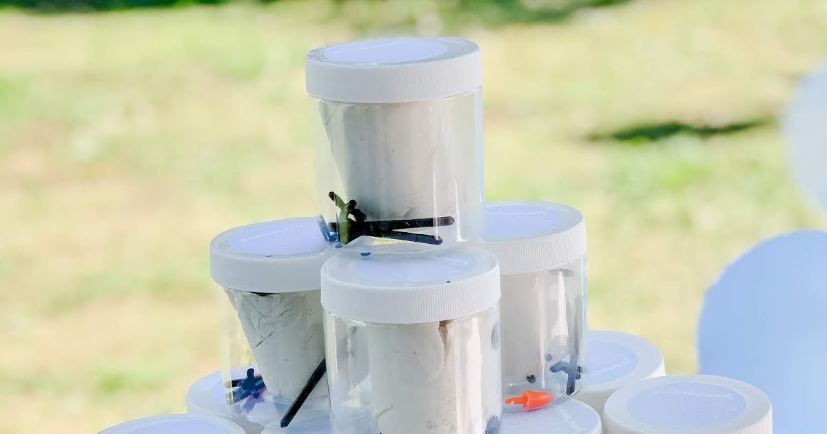 Frozen Birthday Party Favor Idea | Celebration Stylist | Popular Party