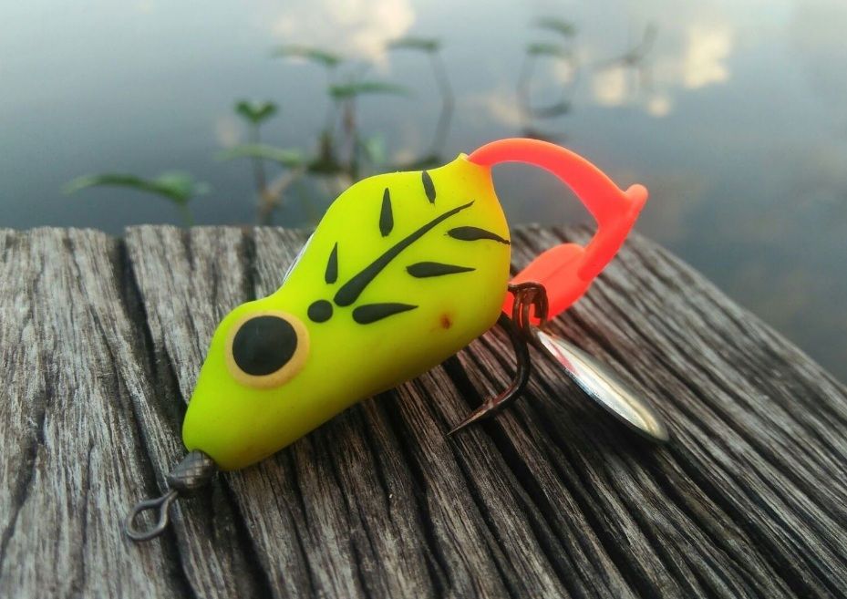 Cara Memancing Ikan Gabus Lengkap Dengan Umpan Jangkrik Atau Soft Frog Gambar Iklan