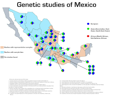 http://1.bp.blogspot.com/-7YlyQXX1XHc/Vj0qabTWA_I/AAAAAAAAAAs/xPOitnbdG_o/s1600/Genetic+map+of+Mexico.PNG
