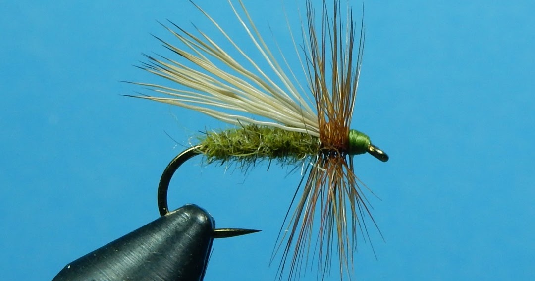 Flytying: New and Old: St Vrain Caddis (Olive)
