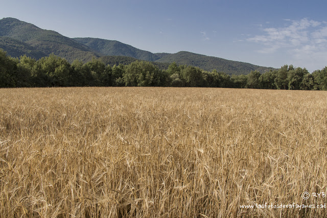 Ruta: la Enclusa (867 m.) (Els 100 Cims)