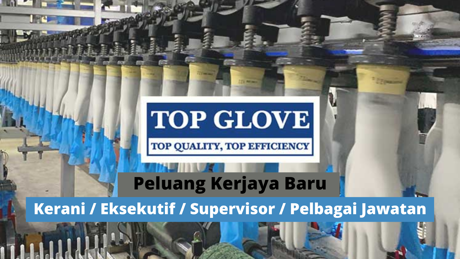 TOP GLOVE OPERATION TELAH MENAWARKAN PELBAGAI JAWATAN KOSONG