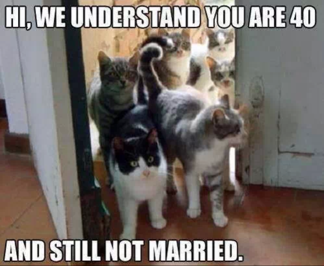 Hi we understand you are 40, and still not married | Best of funny memes