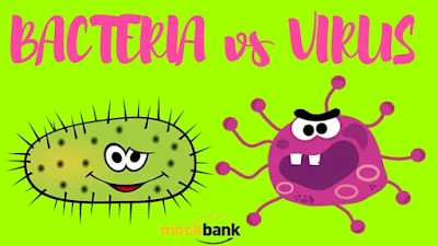 Perbandingan Antara Bakteri dan Virus