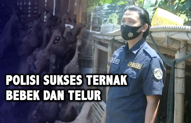 Bantu Ekonomi Warga, Polisi Ini Beri Contoh Beternak Bebek, Sebagian Pendapatannya Untuk Masyarakat Yang Kurang Mampu