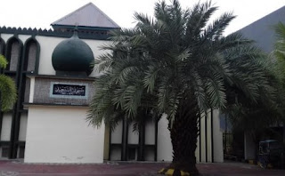 Hukum Mengambil Buah dari Pohon di Masjid
