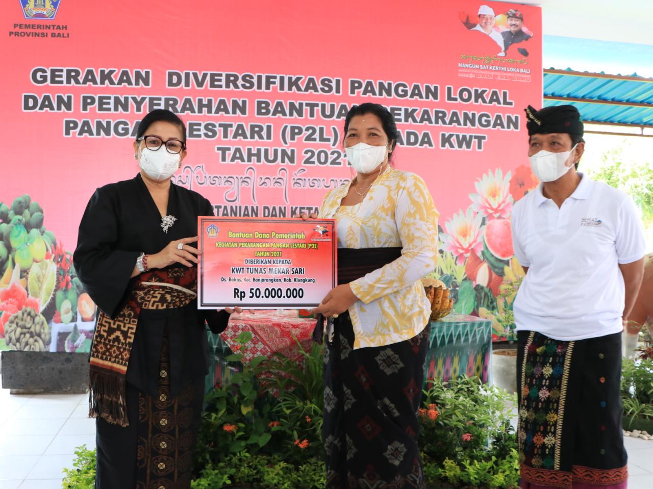 Putri Koster: Kurangi Ketergantungan Beras dan Terigu dengan Sumber Pangan Lain