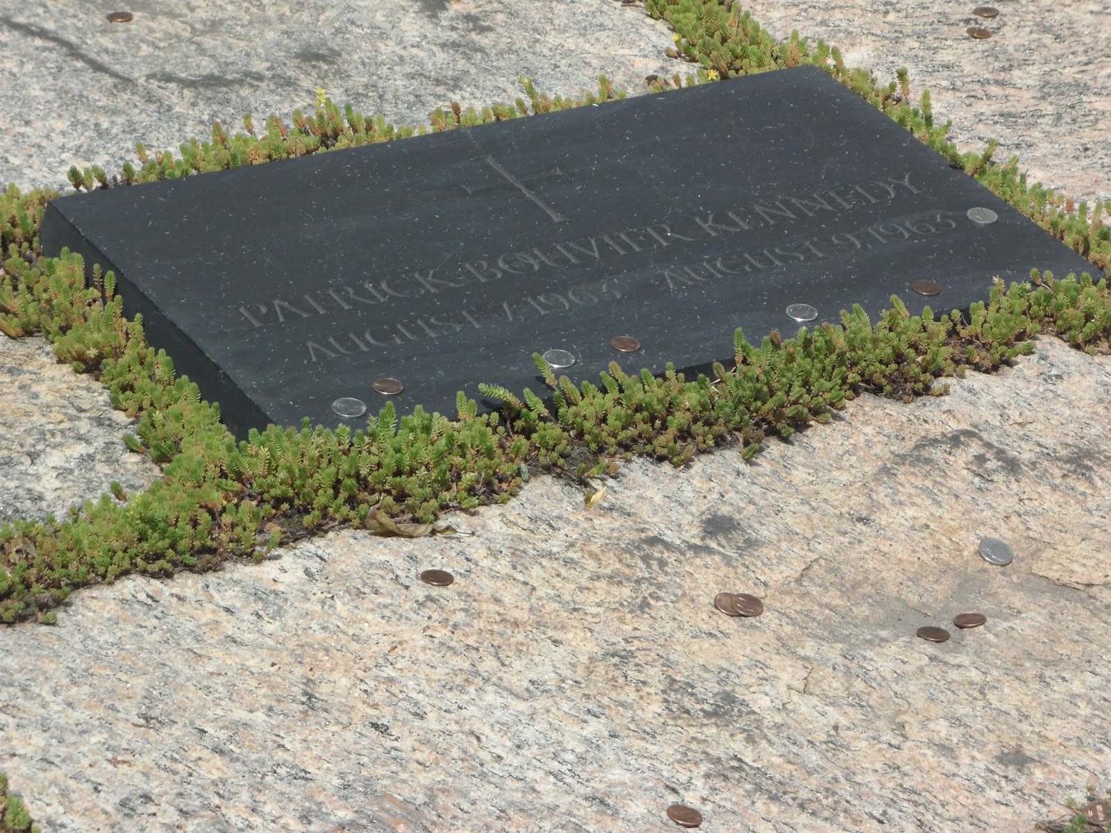 JFK + 50 PATRICK BOUVIER KENNEDY LAID TO REST