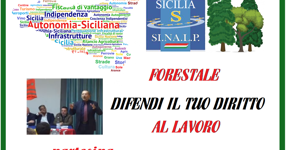 IL BLOG DEI LAVORATORI FORESTALI E DEGLI ADDETTI ALLO SPEGNIMENTO INCENDI DELLA REGIONE