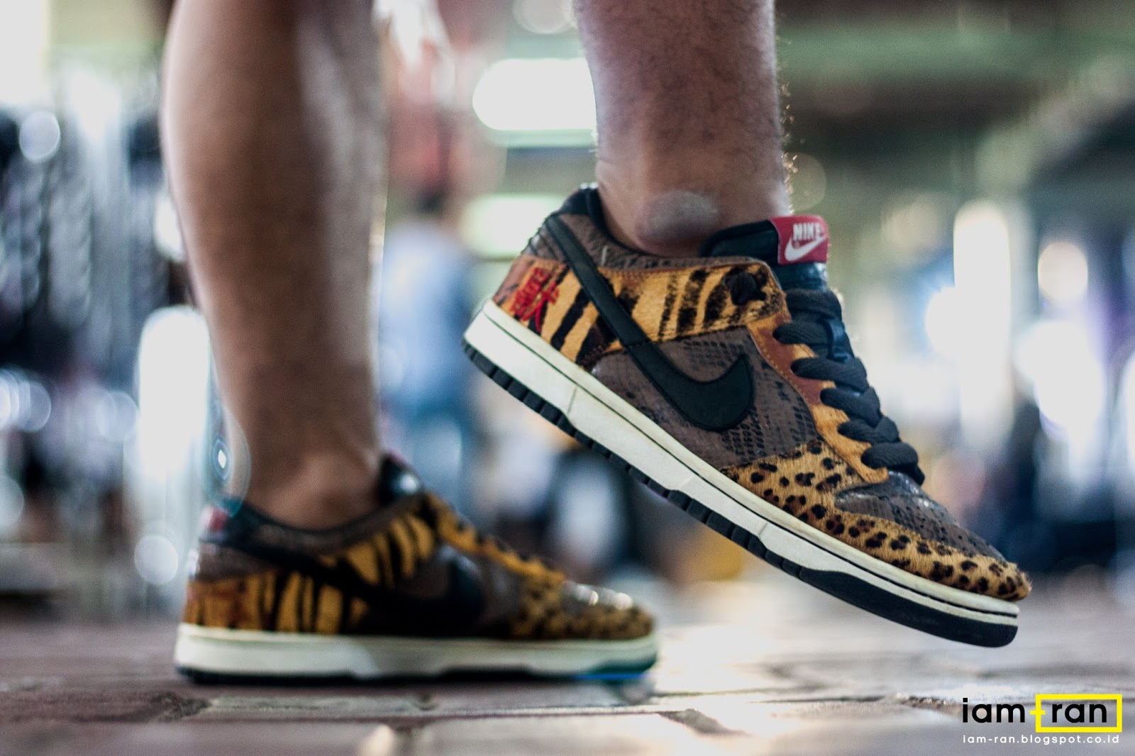 nike dunk low beast pack