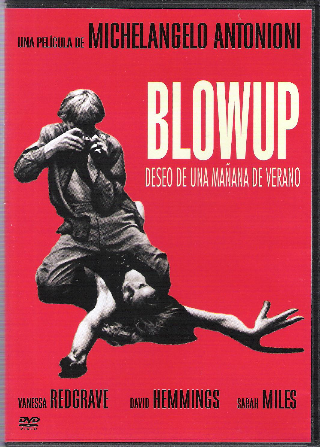 http://1.bp.blogspot.com/-7_2SYS0xN4I/Tyr1qFt75VI/AAAAAAAAAKM/xSswxwfdqZQ/s1600/blow-up+-+antonioni.jpg