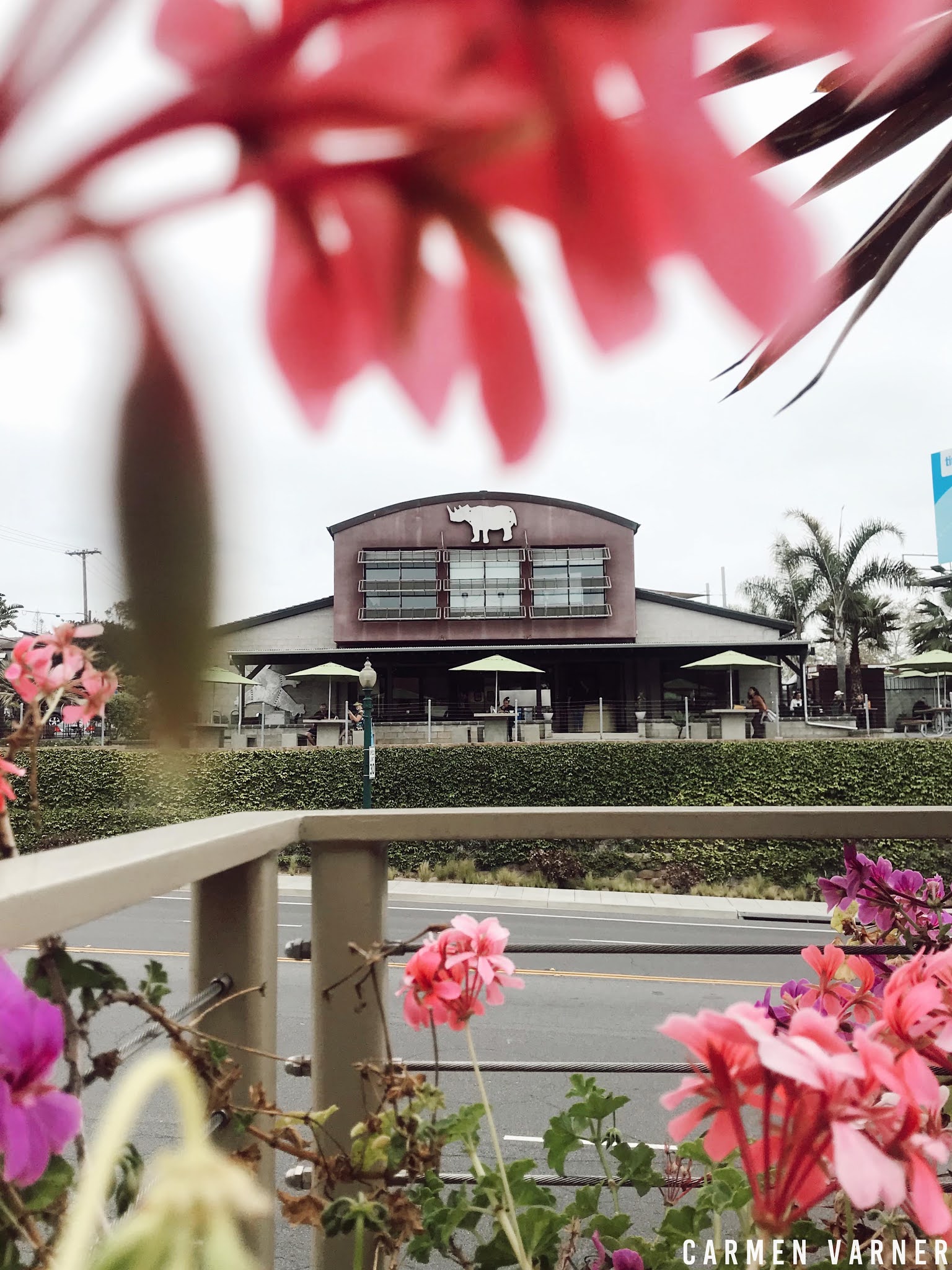 Encinitas Coffee Shops Searching for the Best Coffee Shop in Town