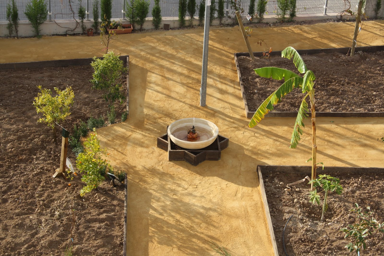 Erase una vez un huerto...: Y sigue creciendo el huerto