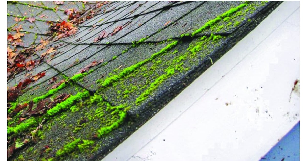 Team Thayer Property Servicing