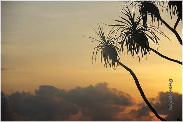 SUPERMENG MALAYA: Mentari Terbit Pagi @ TJR