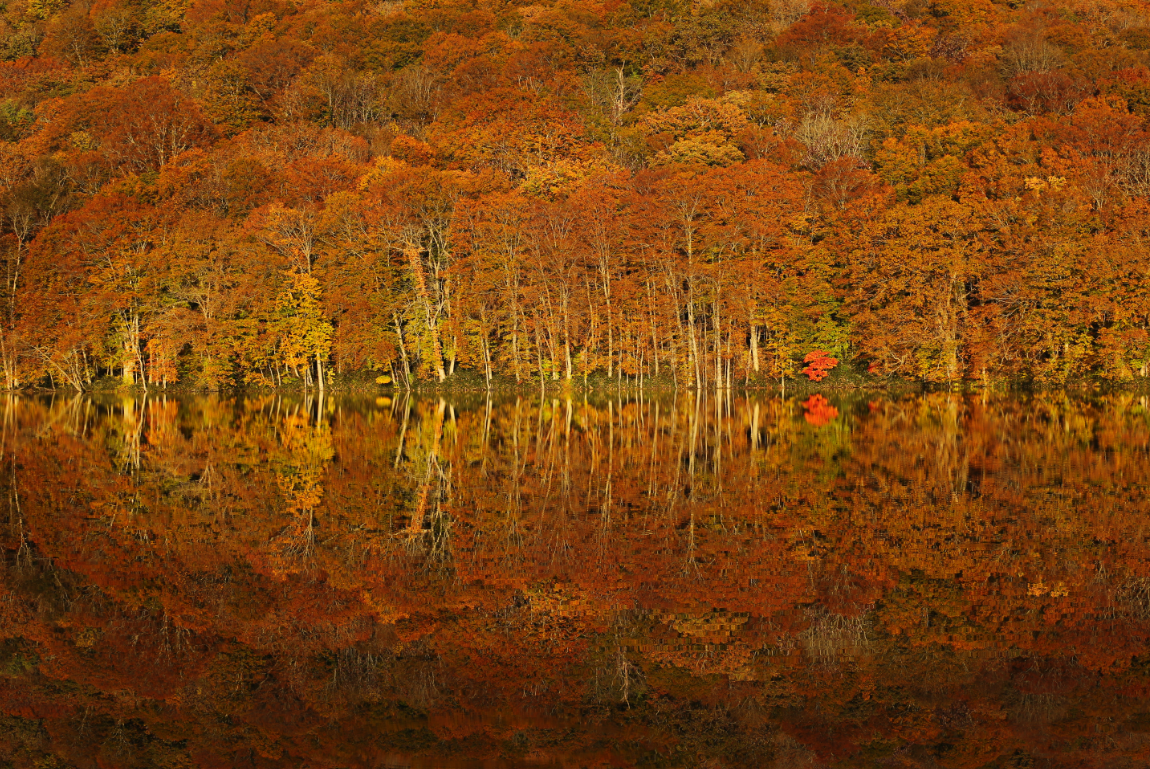 Canon Camera News 2018 Canon EOS 5D Mark III Official Sample Images