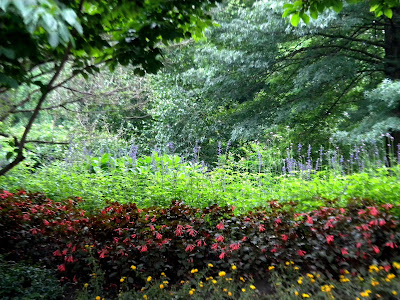 Strawberry Fields forever Clip Art