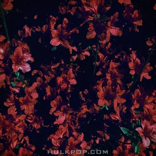 Thinkin’ Bout You – 주문을 외워 – Single