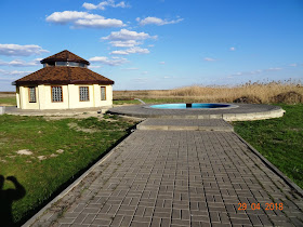 Ткаченко анна борисовна россельхознадзор