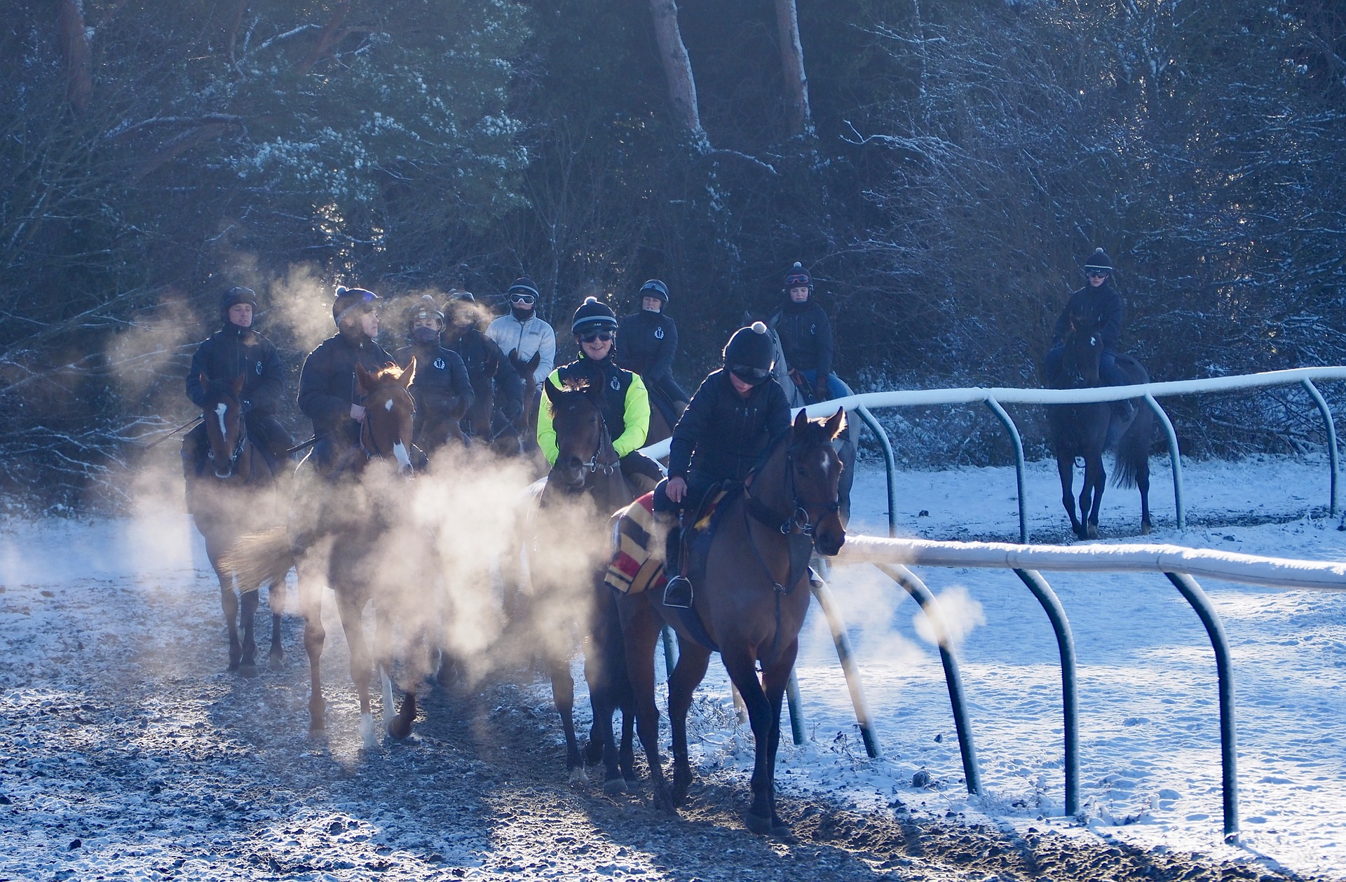 Horse Trainer Database Kevin Philippart de Foy Training at Newmarket