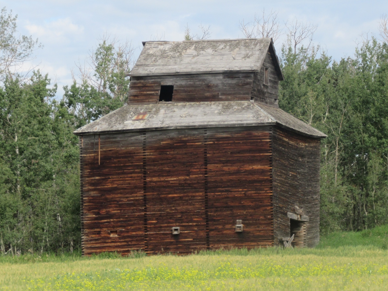 The view from here More Alberta Peace Country with the Redekopps