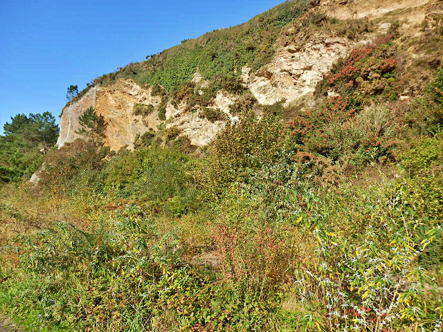 Cliffs at Carlyon Bay, Cornwall