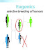 Eugenics - Human Breeding