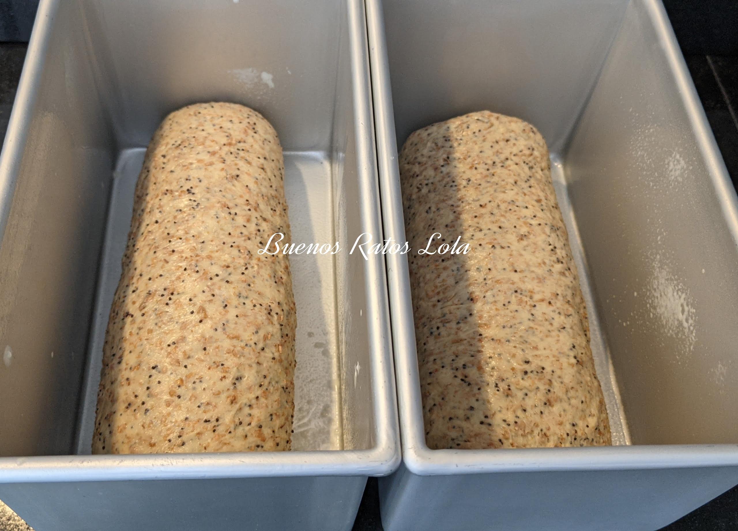 Pan de moldebrioche semiintegral con semillas de amapola en