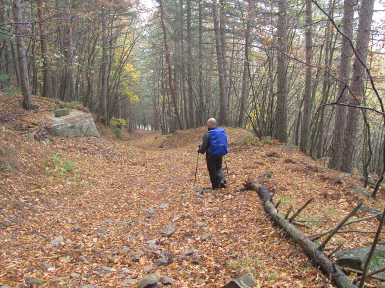 Escursionismo a 360° Da Grezzano al Passo del Giogo (E)