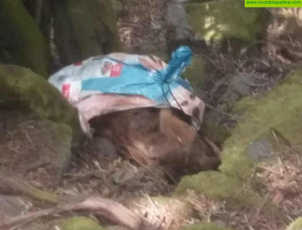 Localizan los restos de varios animales metidos en sacos en la subida al Refugio del Pilar