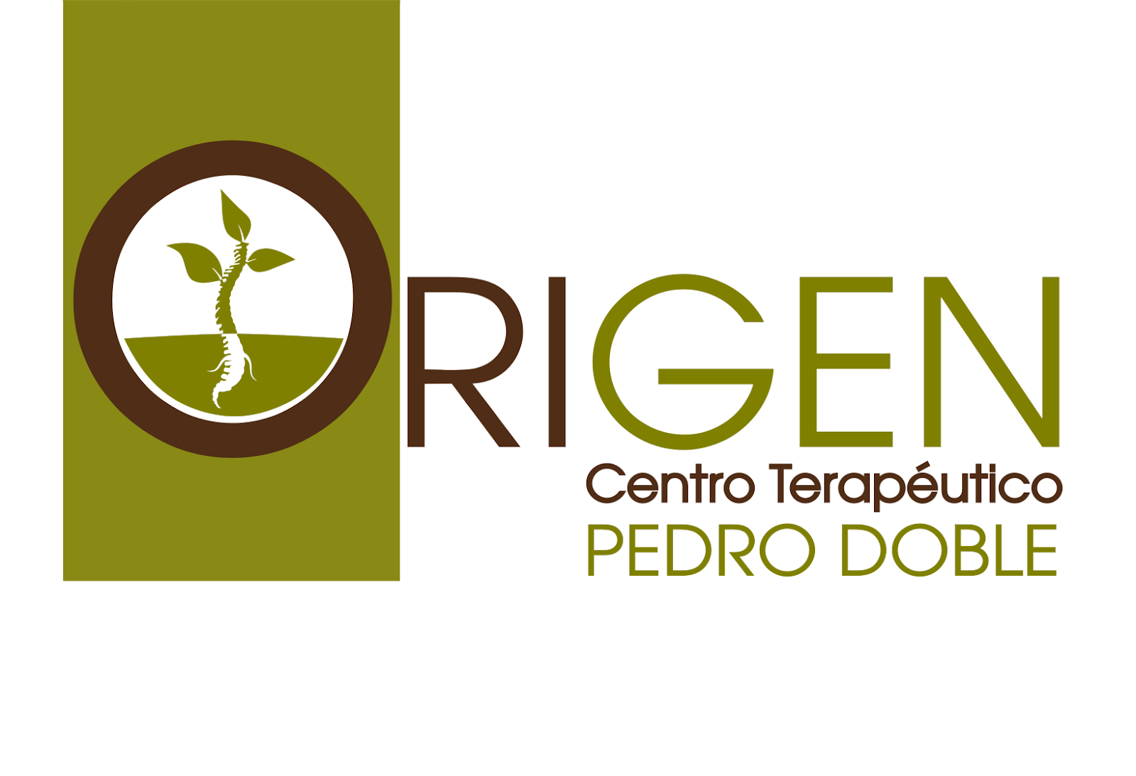 ORIGEN