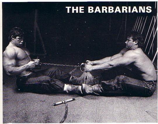 STRENGTH FIGHTER™: The Barbarian Brothers