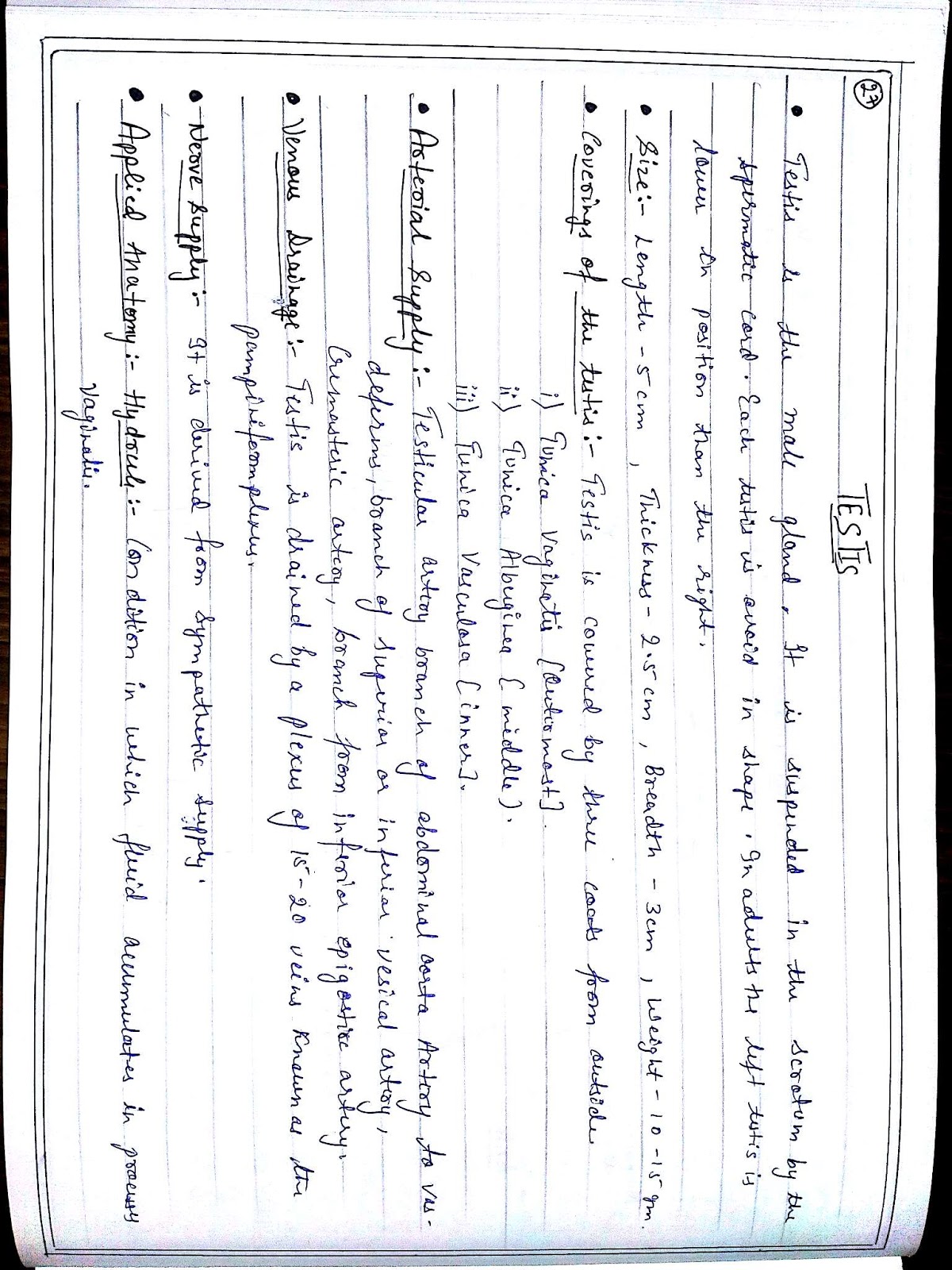 Anatomy Diagram Book