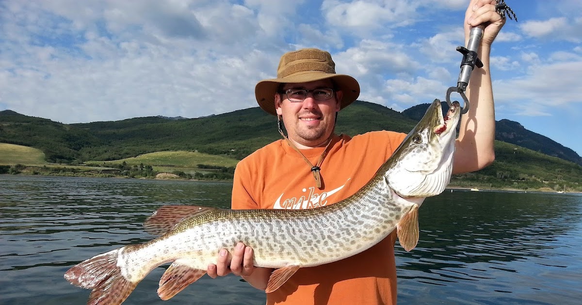 Jon's Fishing Stories My first Pineview Reservoir Tiger Muskie!