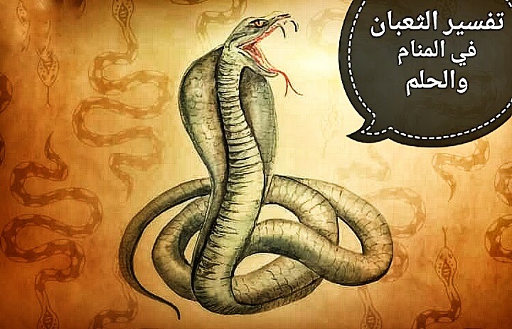 تفسير حلم رؤية الثعبان في الحلم والمنام