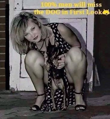 dog.jpg