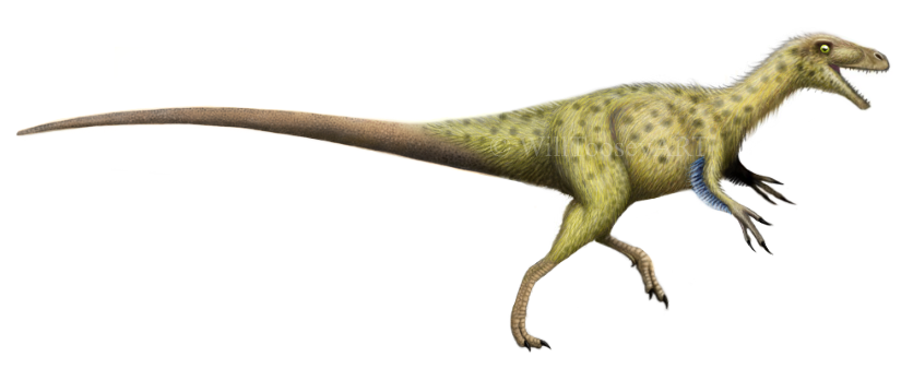 Palaeofauna: Early Origins of Tyrannosaurs