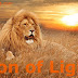Lion of Light | Poetry of Light