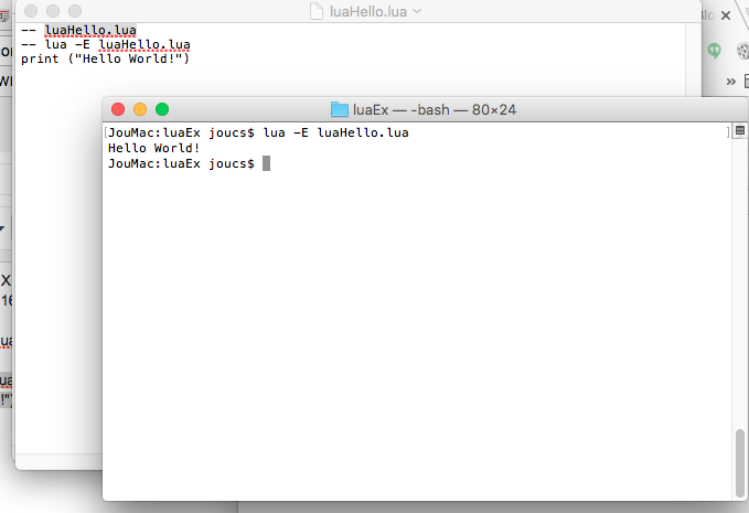 Lua print. Lua язык программирования. Lua язык программирования уроки. Lua скрипты. Lua язык программирования.