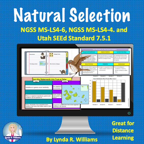 Natural Selection Worksheet