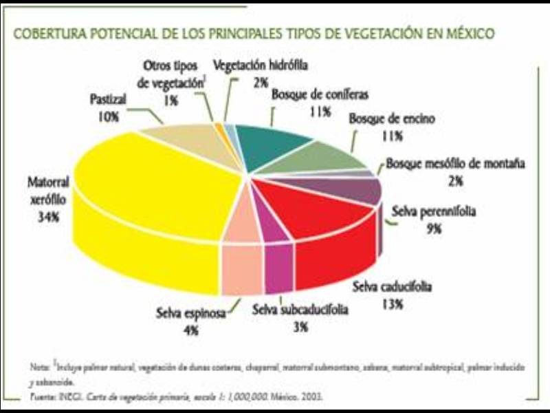 Geografia CCH UNAM Grafica de los principales tipos de Vegetacion en Mexico Geografia CCH UNAM Grafica de los principales tipos de Vegetacion en Mexico