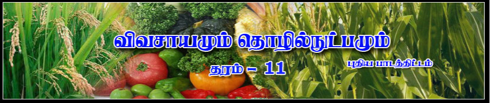 grade-11-agriculture-food-technology-worksheets-tamil-agri-school