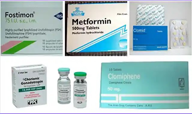 انطباع الرياح الكاسحة لقول الحقيقة Dsvdedommel Com