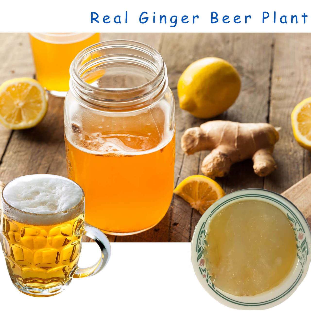 Ginger Beer is Non Mixed Refreshment Happy Herbalist