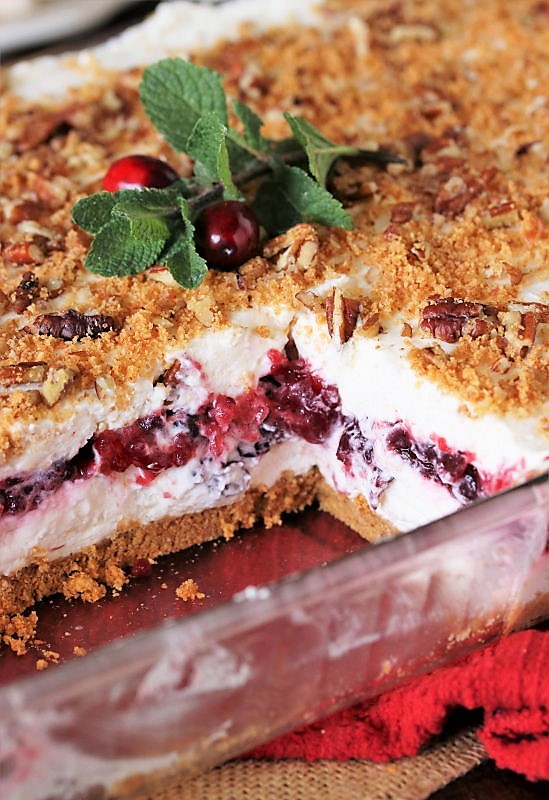 NoBake Cranberry Yum Yum The Kitchen is My Playground