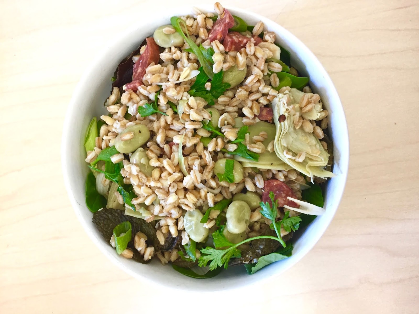 Kvell in the Kitchen Fava, Farro, Artichoke and Salami Salad