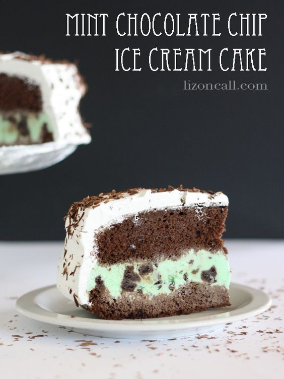 Mint Chocolate Chip Ice Cream Cake Natural Therapy