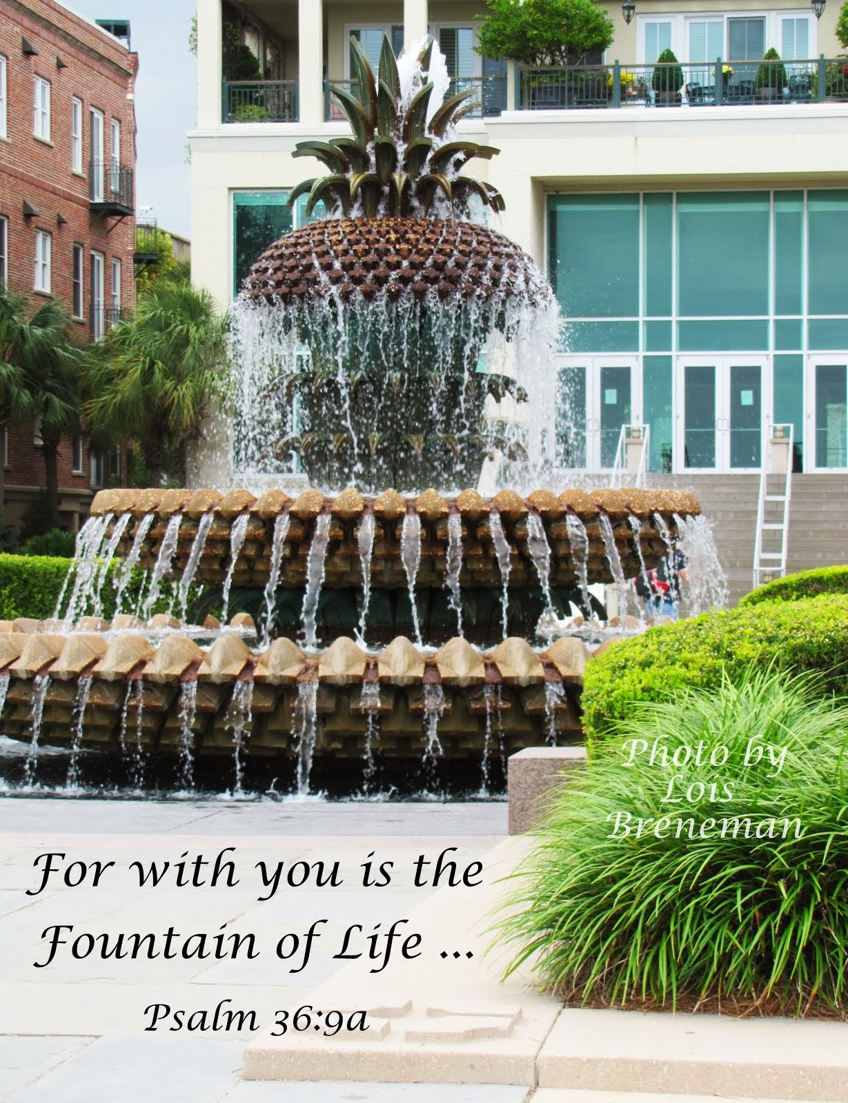 Fountain of Life - Psm. 36:9a