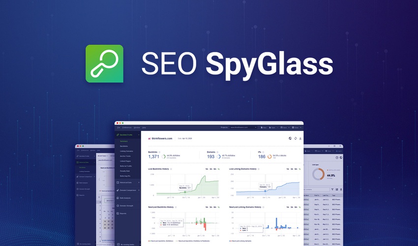 seo powersuite professional license seo powersuite professional license